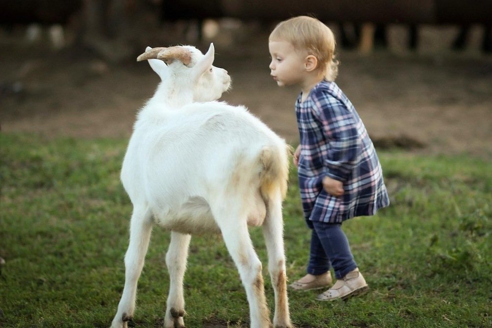 Photograph by Альбина Шафеева