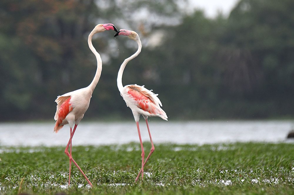 Photograph by SACHIN MATKAR