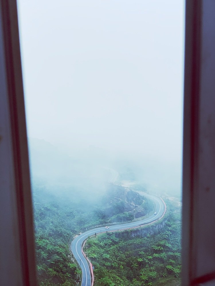 Fog along the road