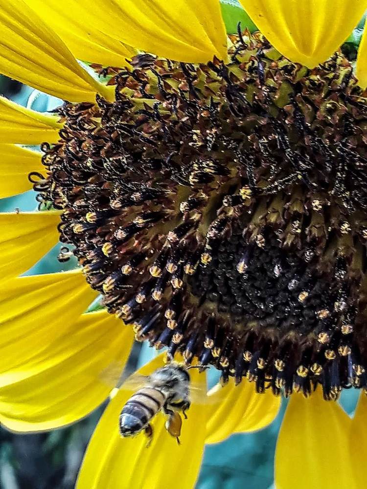 Bellezas de la Naturaleza