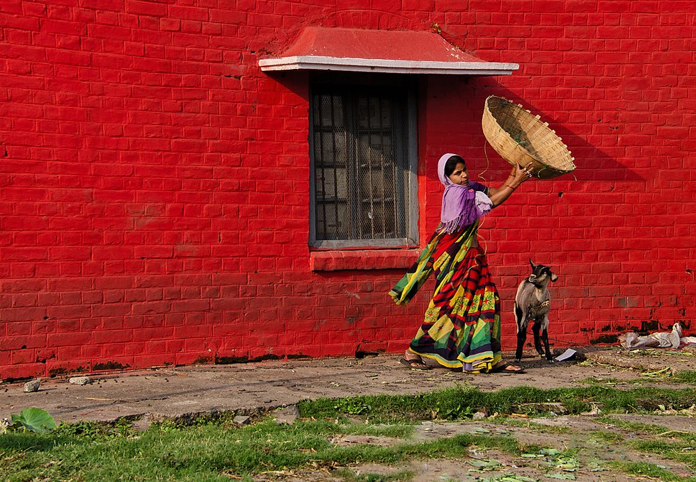 Photograph by Amit Mondal