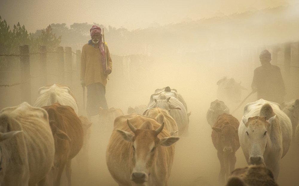 Photograph by Amit Mondal