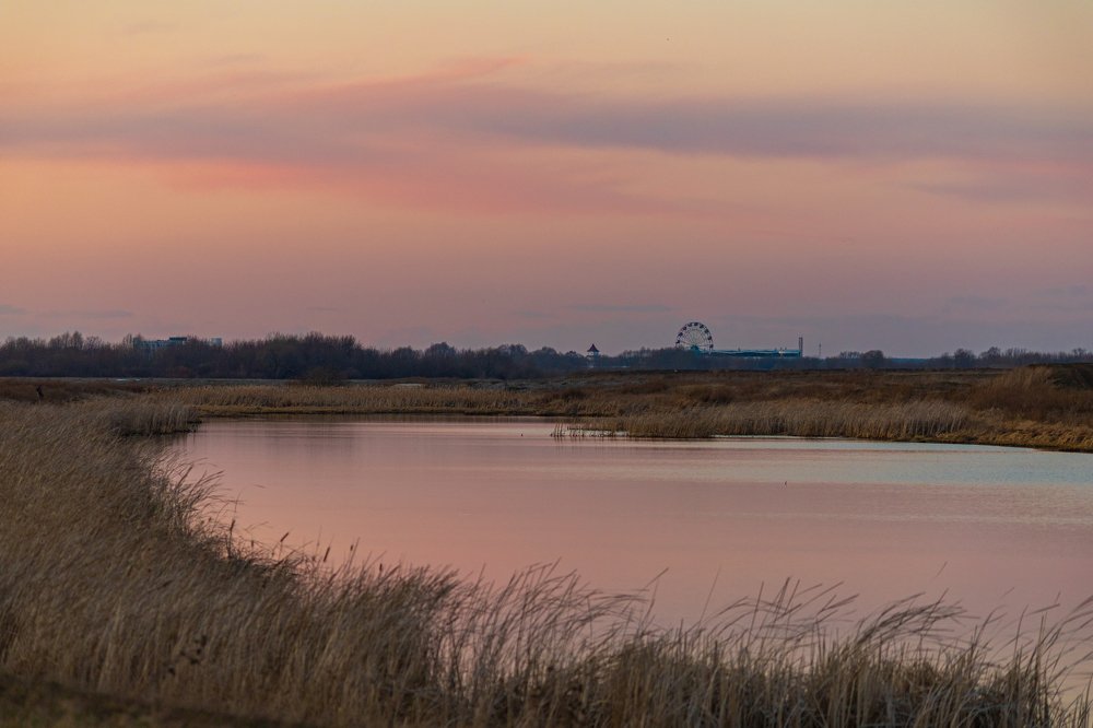 Photograph by Дмитрий Чудинин