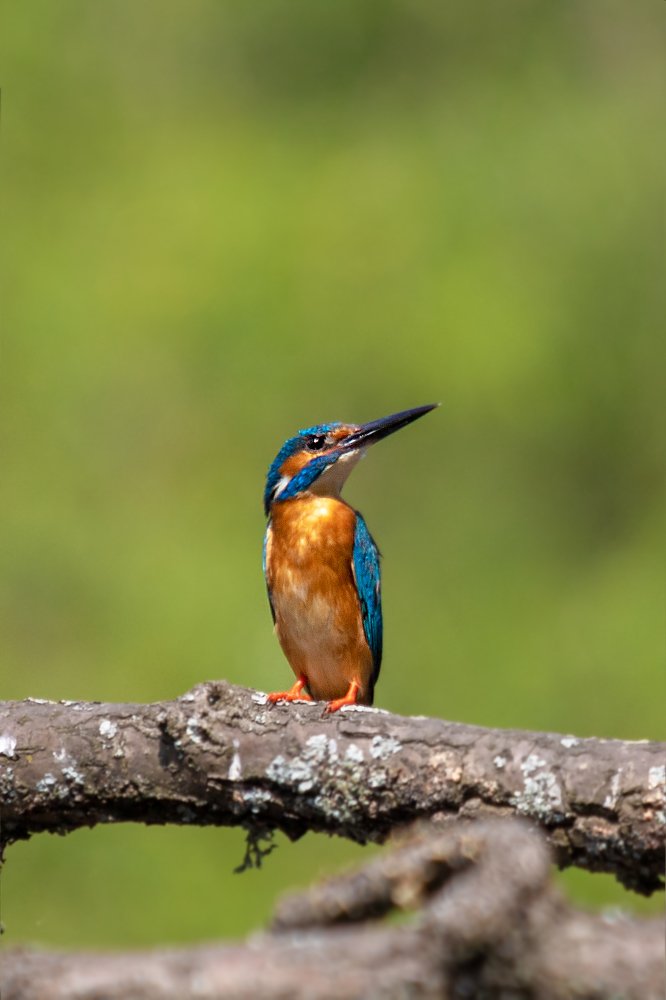 Photograph by Дмитрий Чудинин