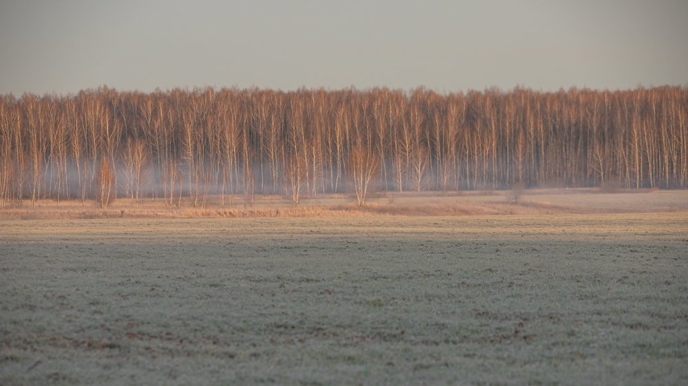Photograph by Дмитрий Чудинин