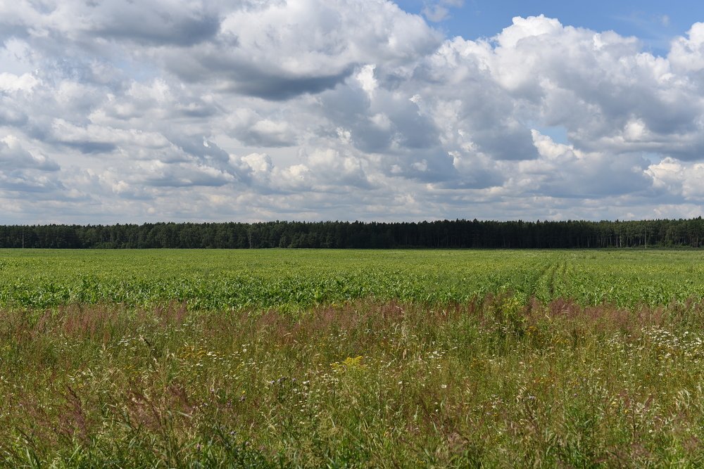 Photograph by Семен Батов