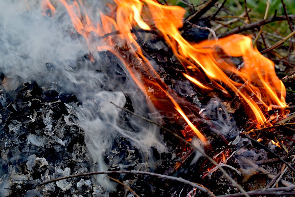 Photograph by Татьяна Дорожко