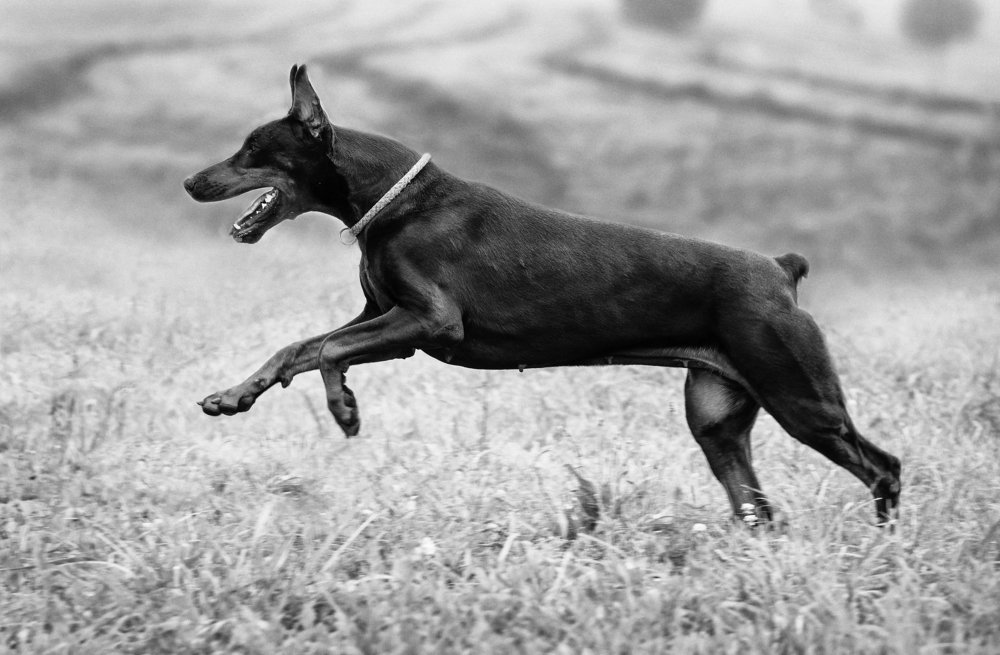 Photograph by Екатерина Лебедева