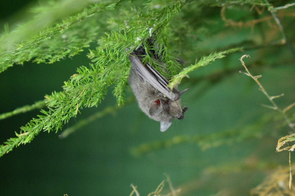 Photograph by Aviral Singh