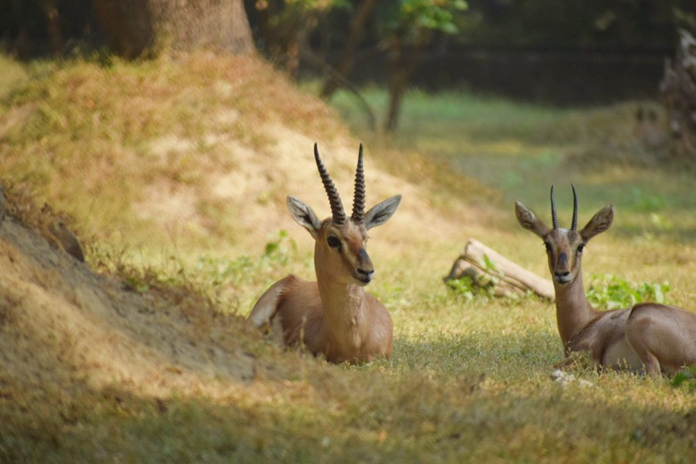 Photograph by Aviral Singh