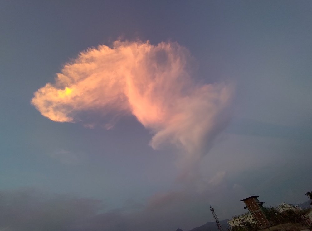 Photo #4804570