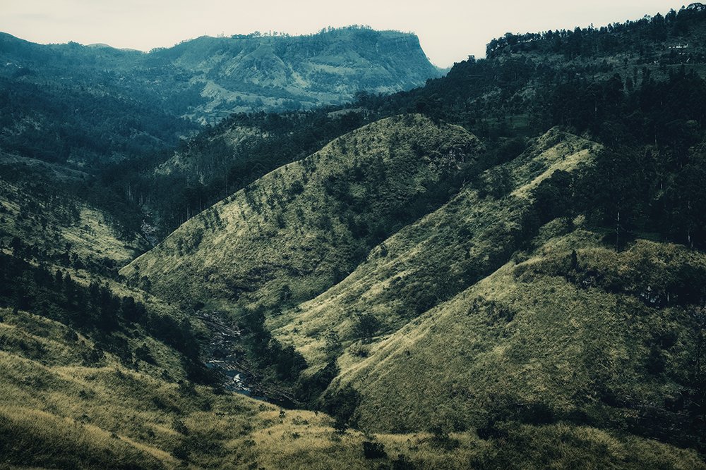 Photograph by Doolwala Gihan