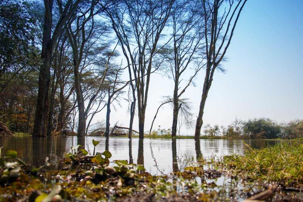 Фотография автора Ronak Ketan Limbad
