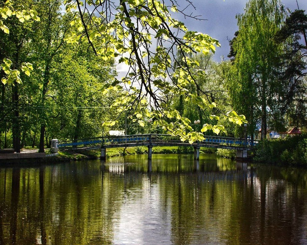 Photograph by Сергей Грицков