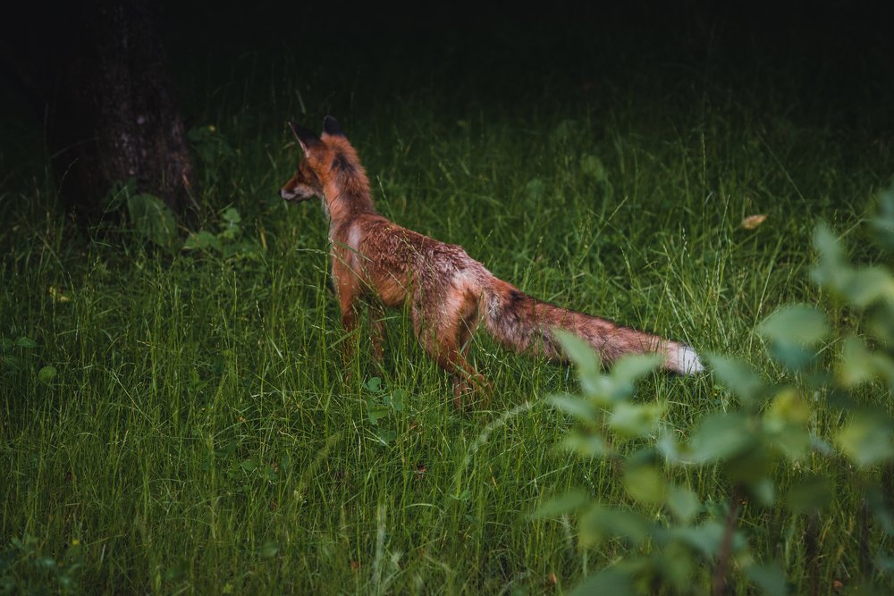 Photograph by Василиса Билуши