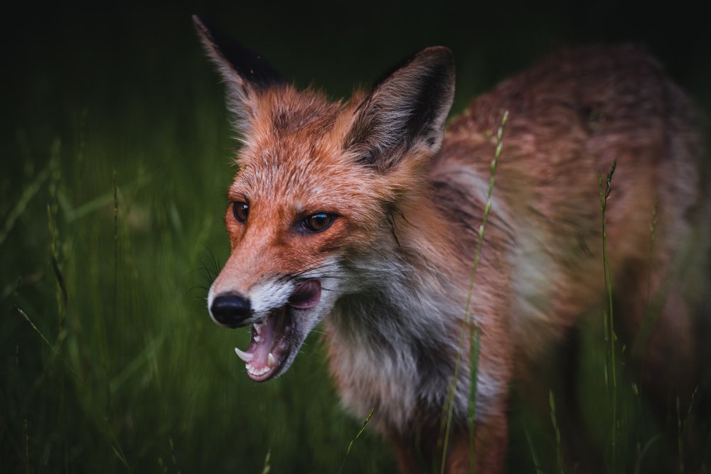 Photograph by Василиса Билуши