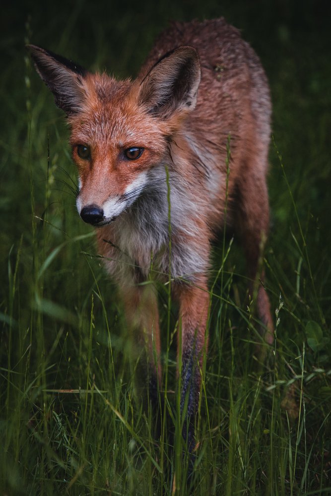 Photograph by Василиса Билуши