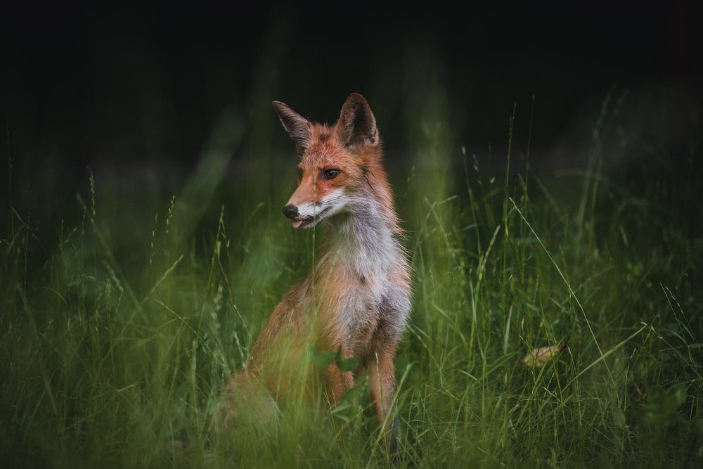 Photograph by Василиса Билуши