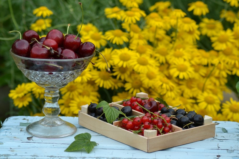 Краски лета