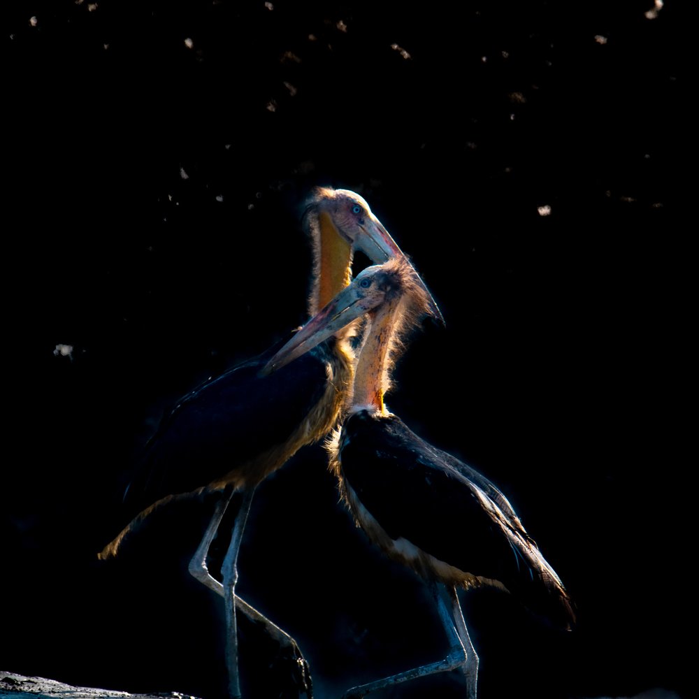 Photograph by Nabarun Majumdar