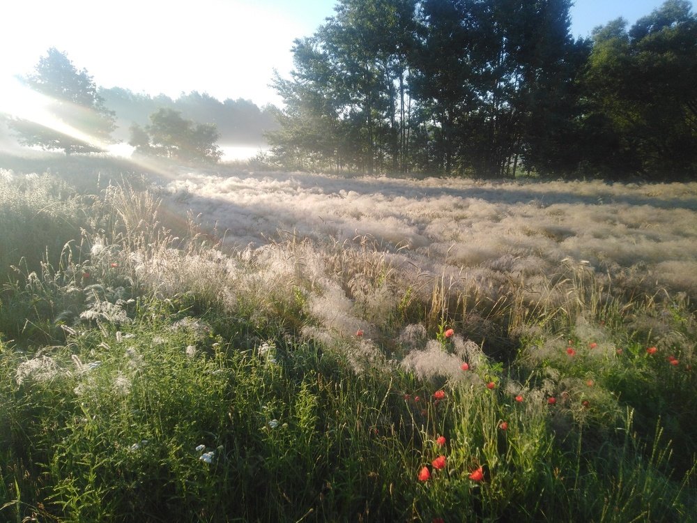 Photo #4804831