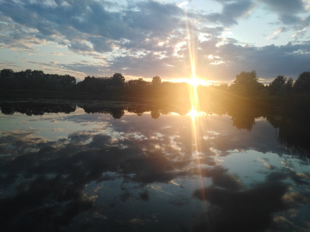 Photo #4804834
