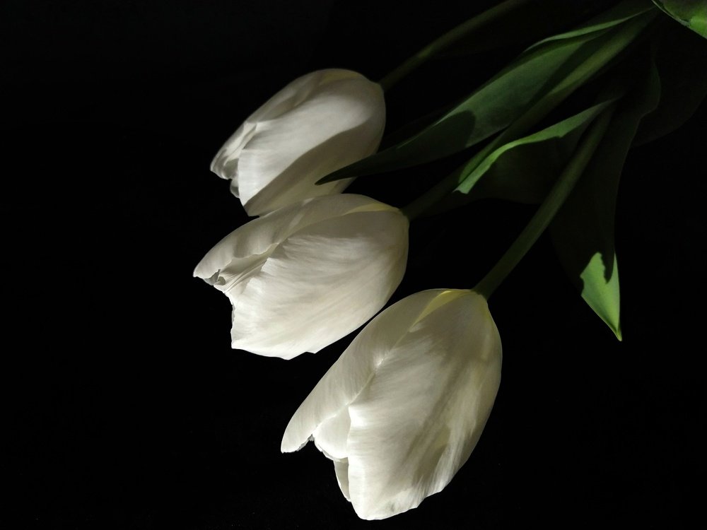 Чистота и невинность