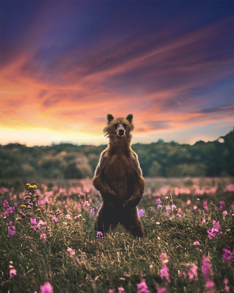 Photograph by Константин Кокорев