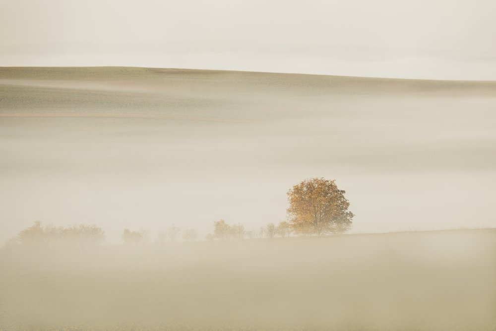 Photograph by Milan Uhrin