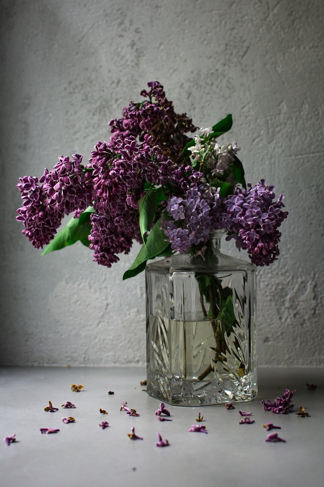 Photograph by Соша Грухина