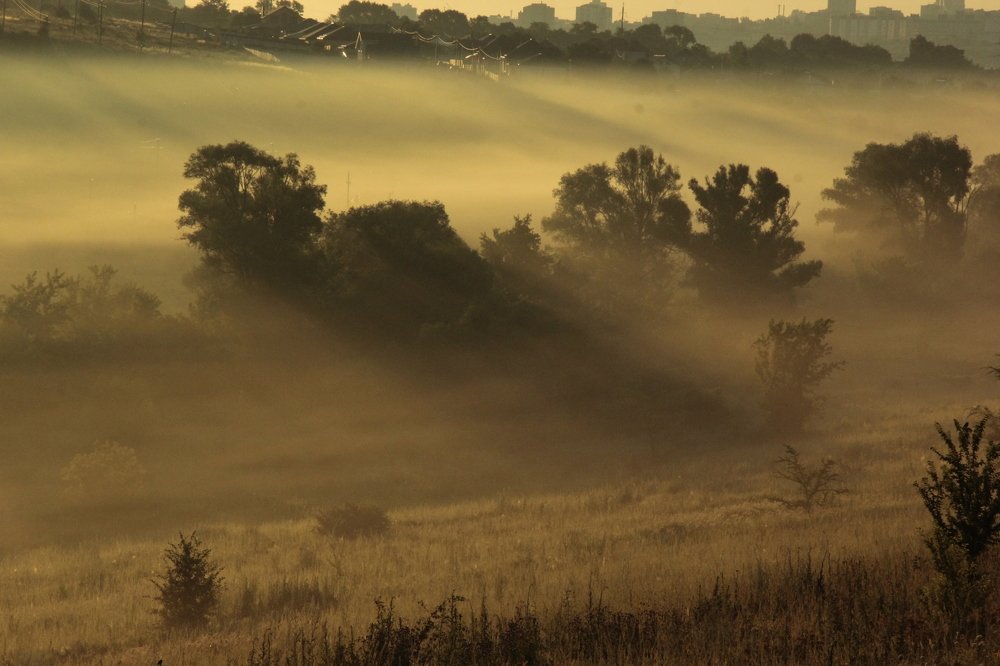 Photograph by Яшин Андрей