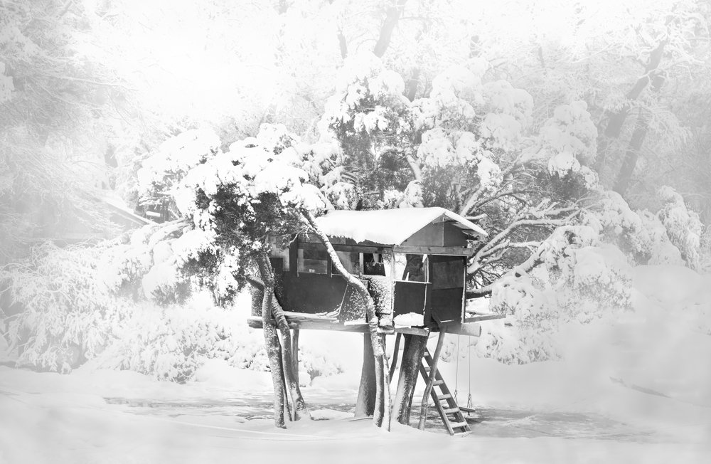 Photograph by Carolina Leske