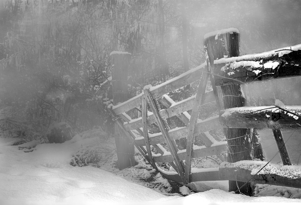 Photograph by Carolina Leske