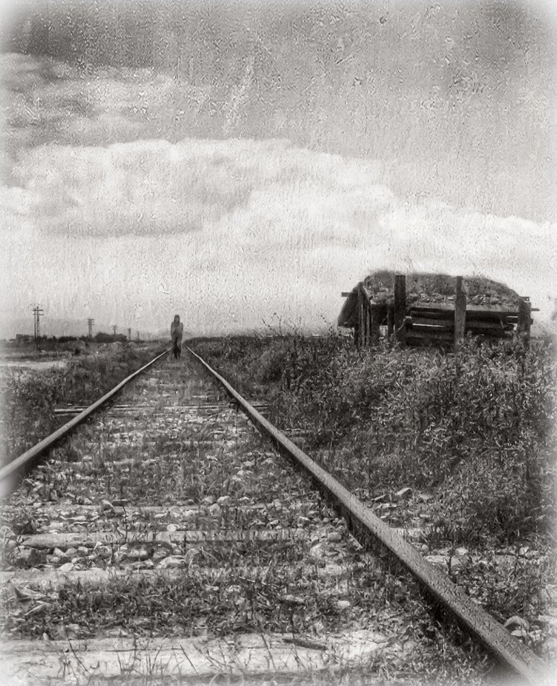 Photograph by Siavash Shomali