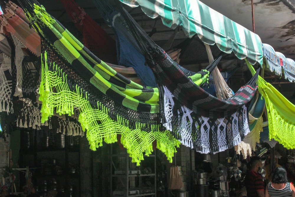 Photograph by Fernando de Jesus Costa