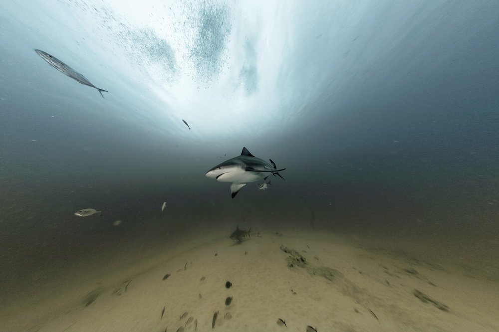 Photograph by Mizael Palomeque