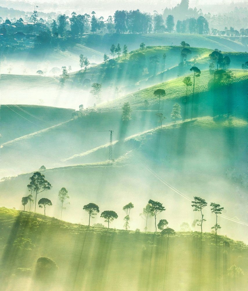 Photograph by Cahyo Priyo Purnomo