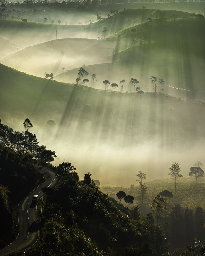 Photograph by Cahyo Priyo Purnomo