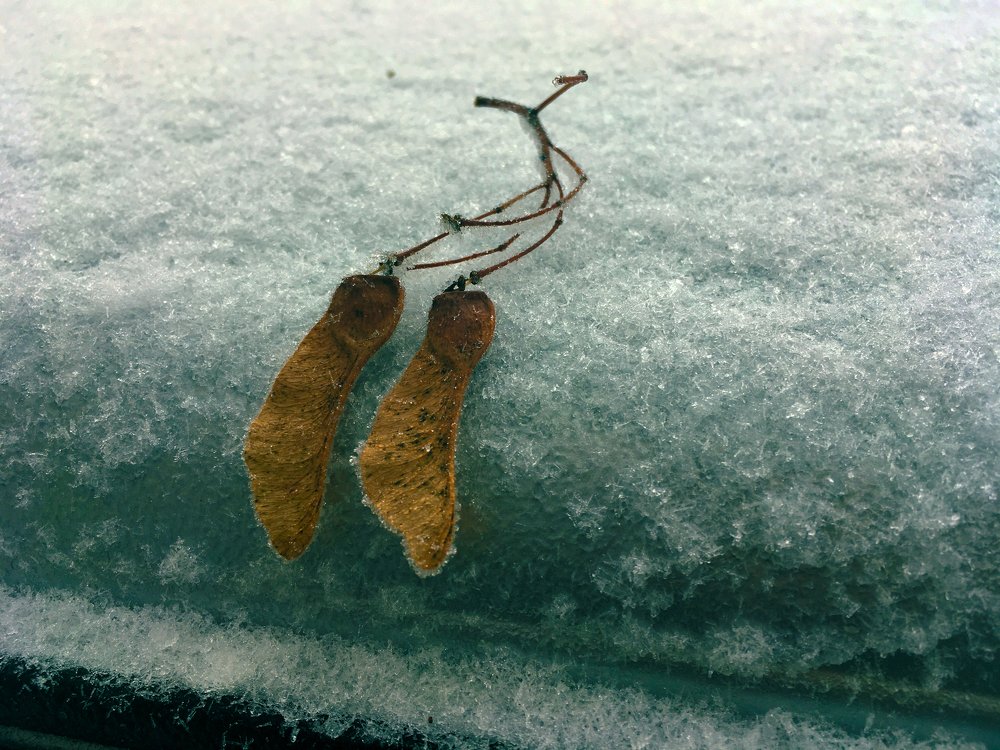 Фотография автора Артемий Николаевич