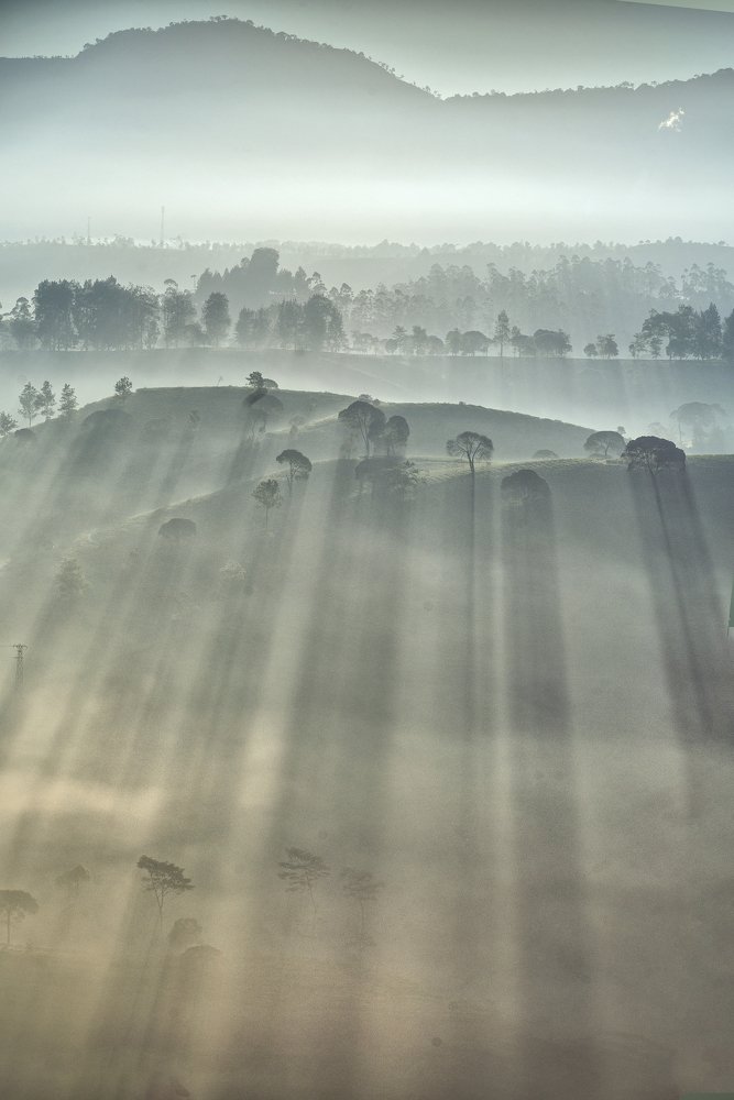 Фотография автора Cahyo Priyo Purnomo