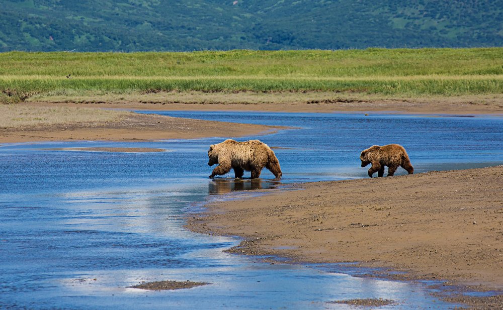 Photograph by Helen McLain