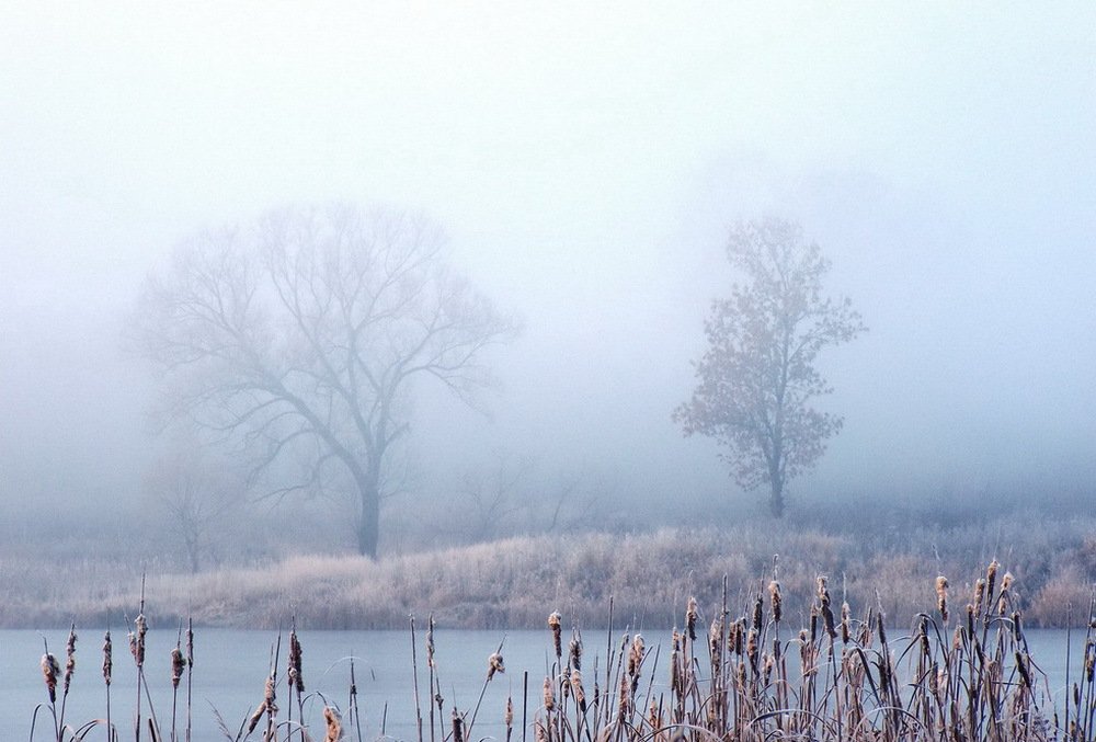 Одинокие в тумане