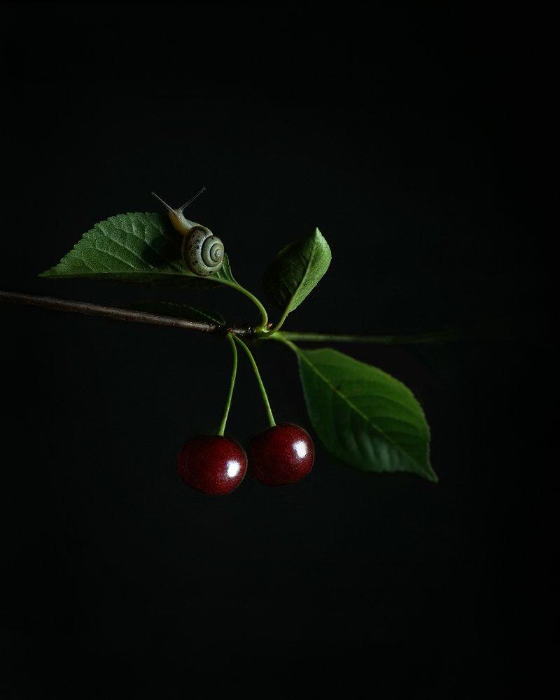 Photograph by Шумилина Марьяна