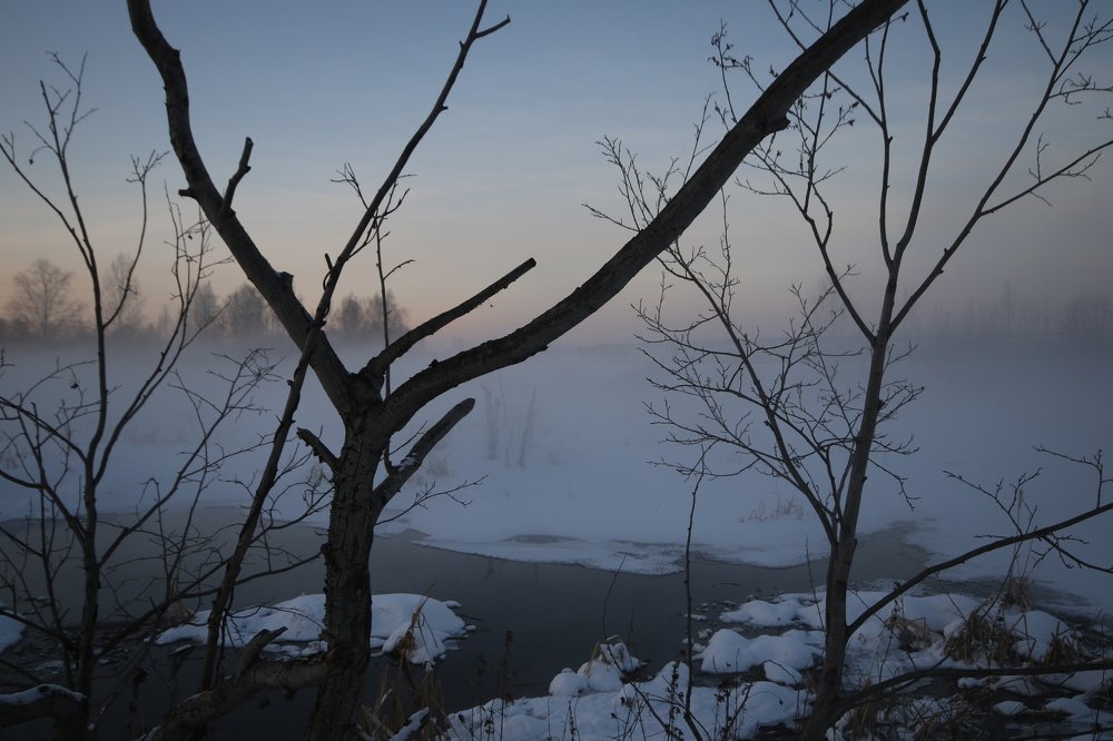 Фотография автора Валерий Каргин