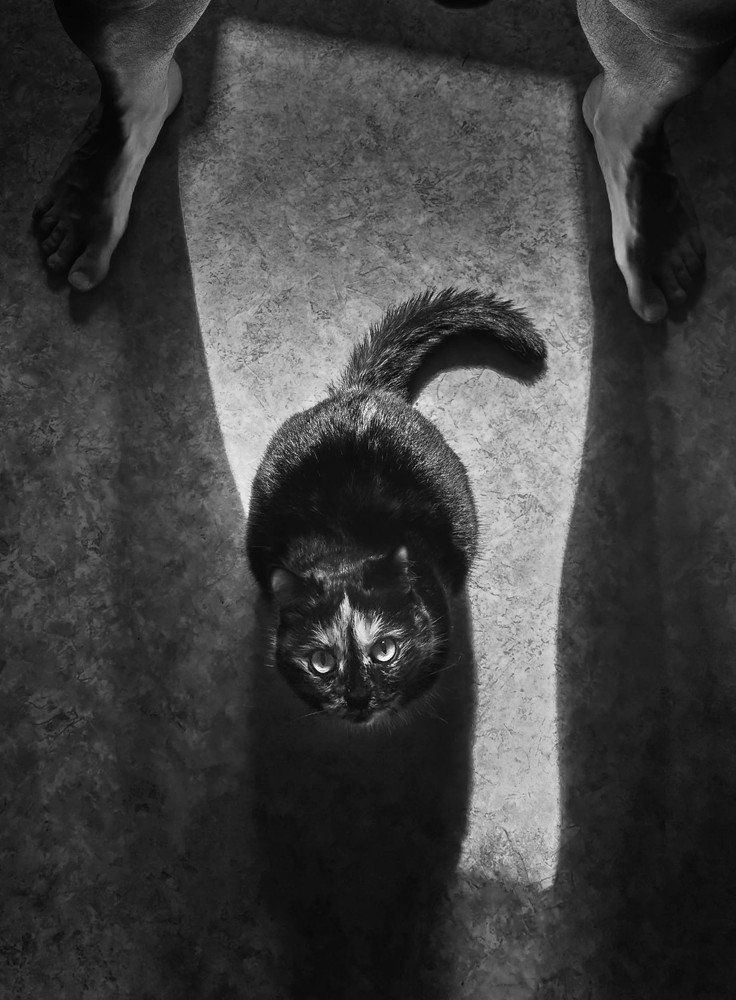 Photograph by Максим Шарыгин