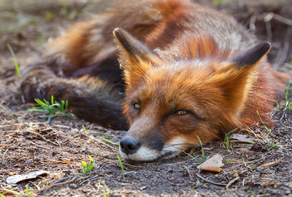 Photograph by Олег Богданов