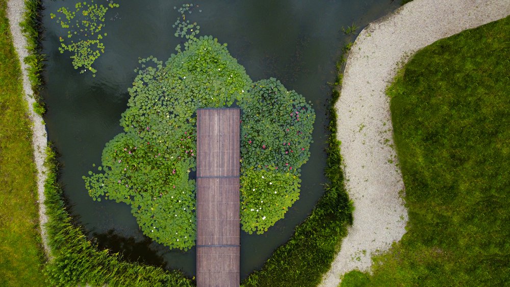 Photograph by Mihai Romeo Bogdan