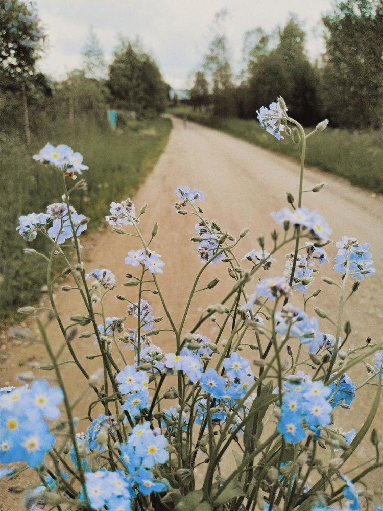 Photograph by Дарья Акулич