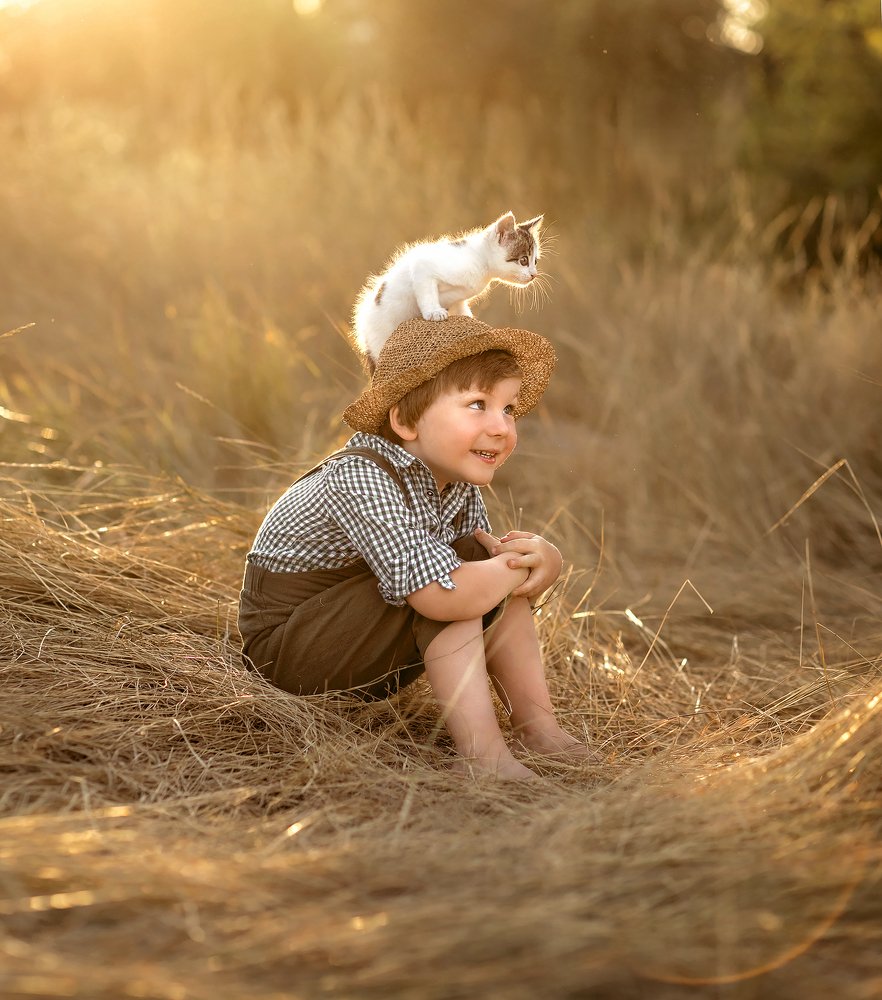 Петсон и Финдус.