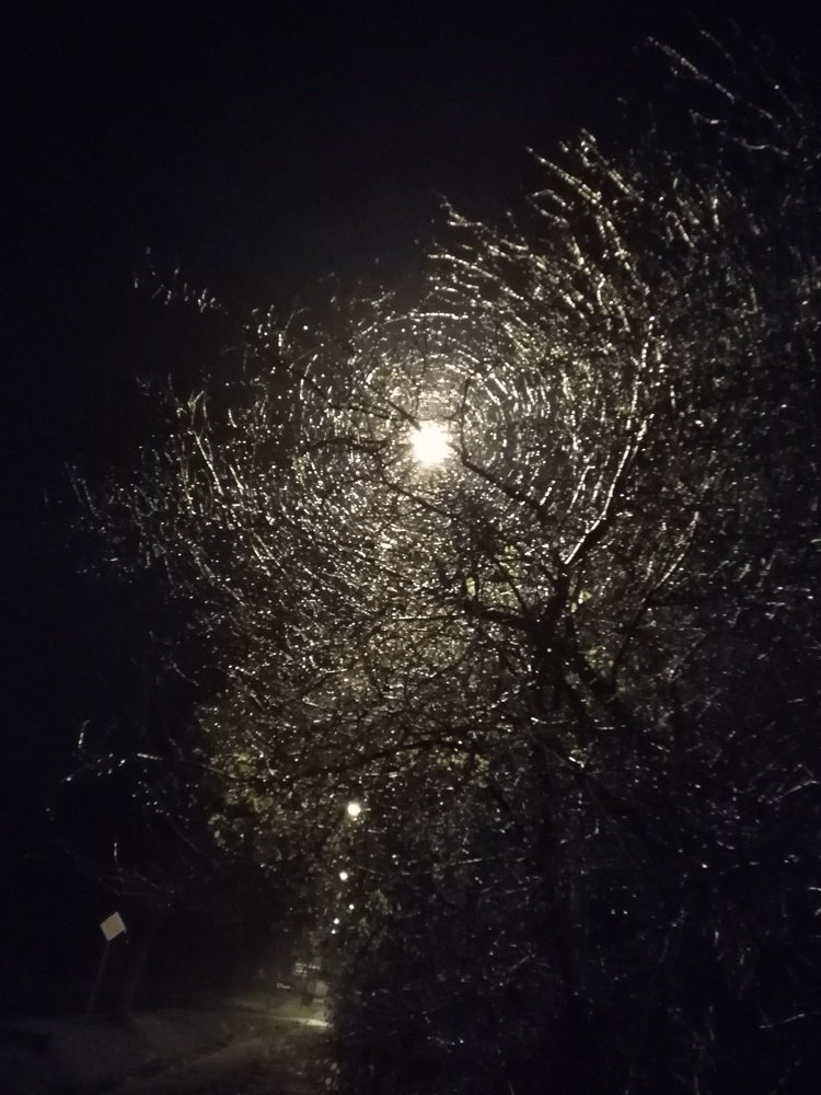Photo #4805671